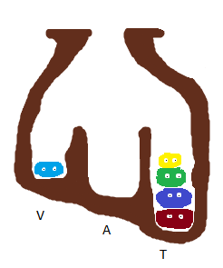 5 meeps in a burrow of 3 shafts